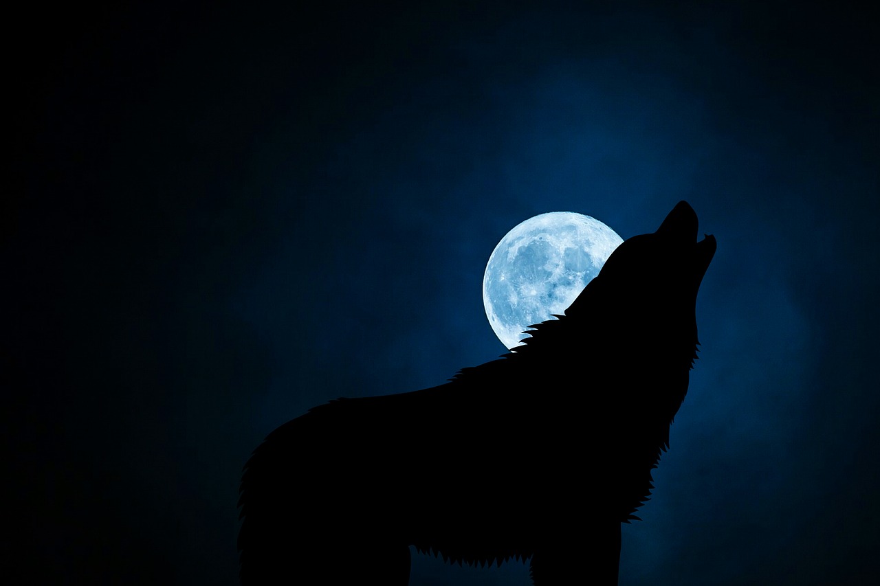 Tapage nocturne : que risquent les voisins ?