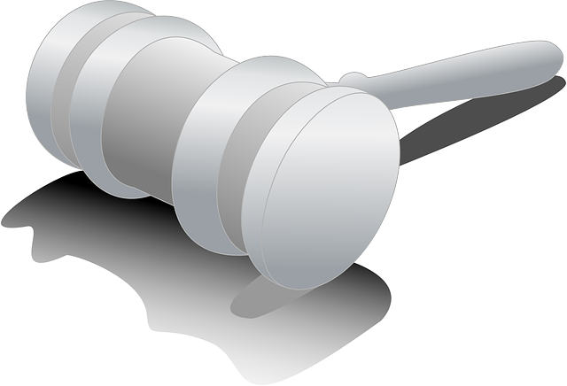 La signification et l'application des principes constitutionnels